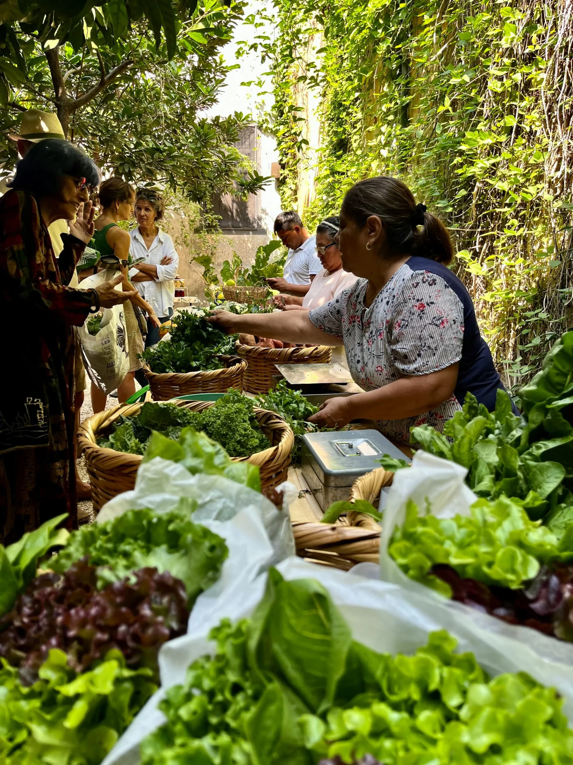 Personas alrededor de una mesa llena de verduras
