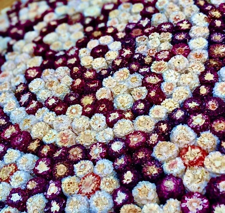 Olotera made from colourful corn cobs