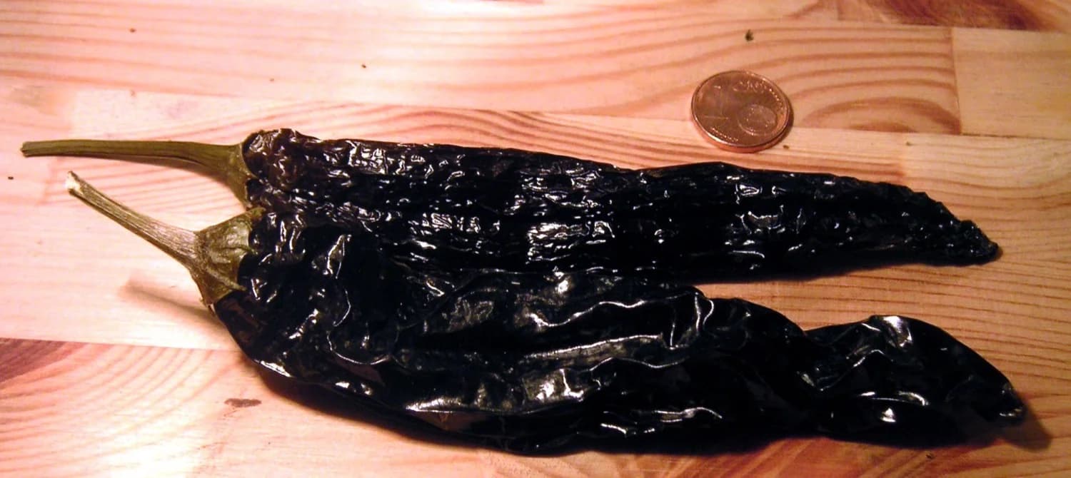 Variedad de chiles secos extendidos sobre un metate de piedra