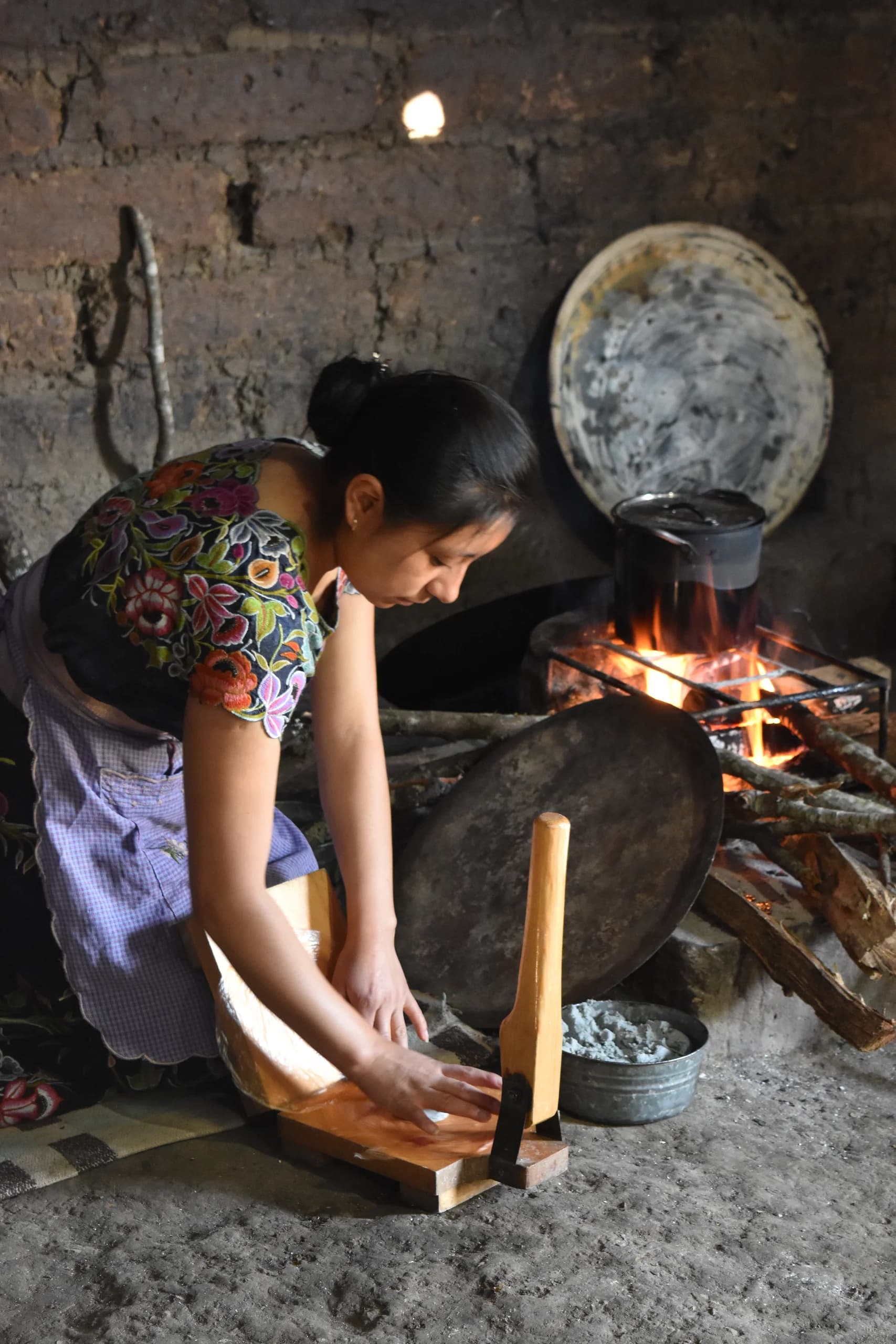 Mazorcas de maíz nixtamalizado listo para moler