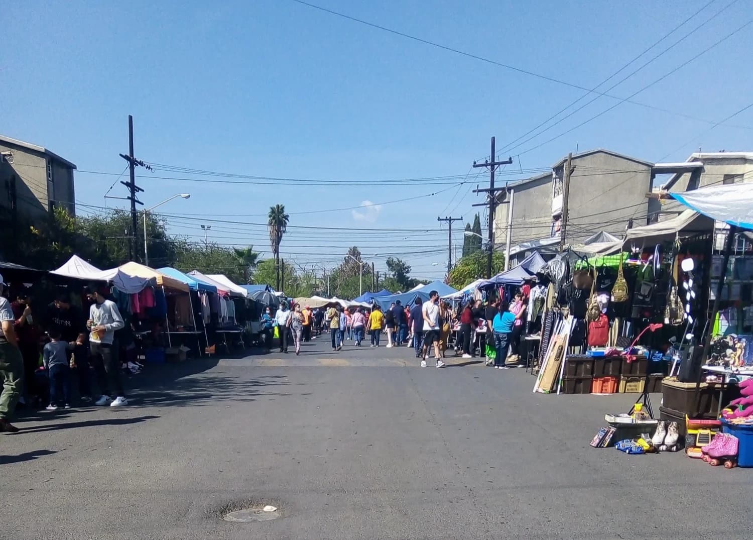 Vendedora acomodando manojos de quelites sobre una mesa de tianguis