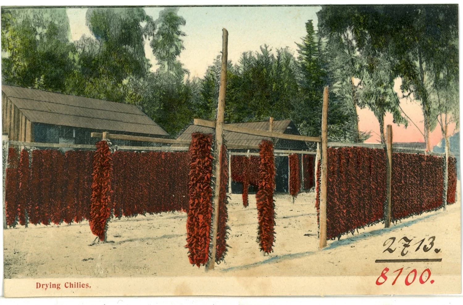 Chiles colgados secándose al sol y al humo