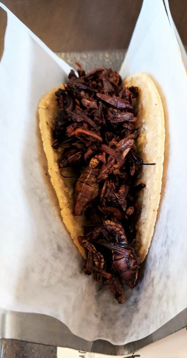 Tazones de salsas de distintos colores e intensidades