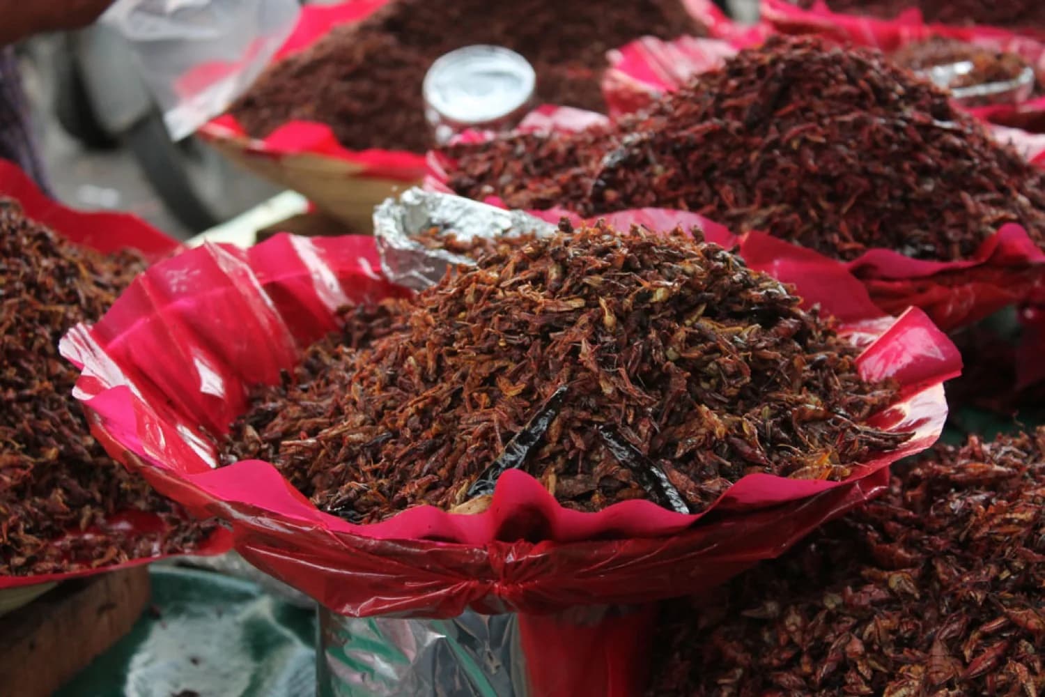 Chapulines tostados en un canasto del mercado de Oaxaca