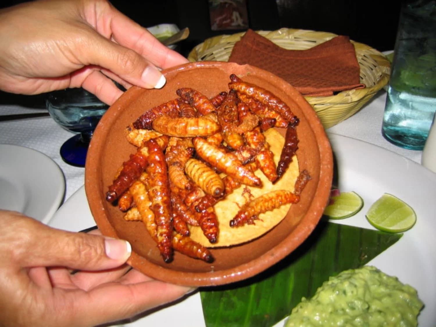 Tacos de gusanos de maguey dorados con guacamole