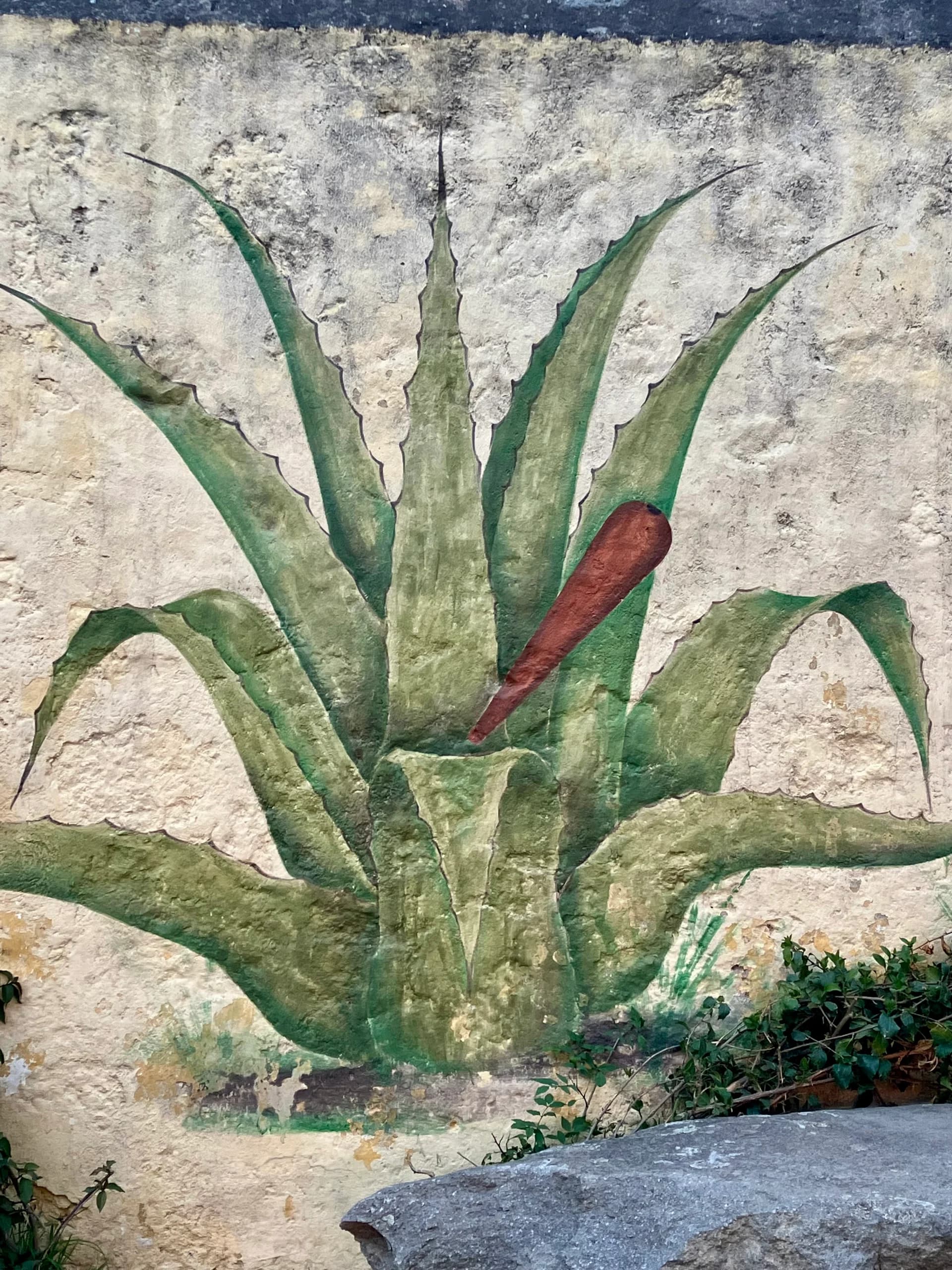 Imagen de un agave pintado en un muro