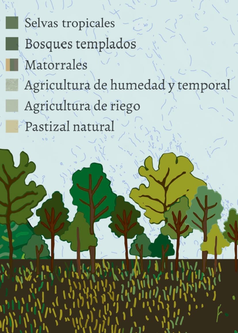 Mapa de alimentos esenciales de las culturas de México
