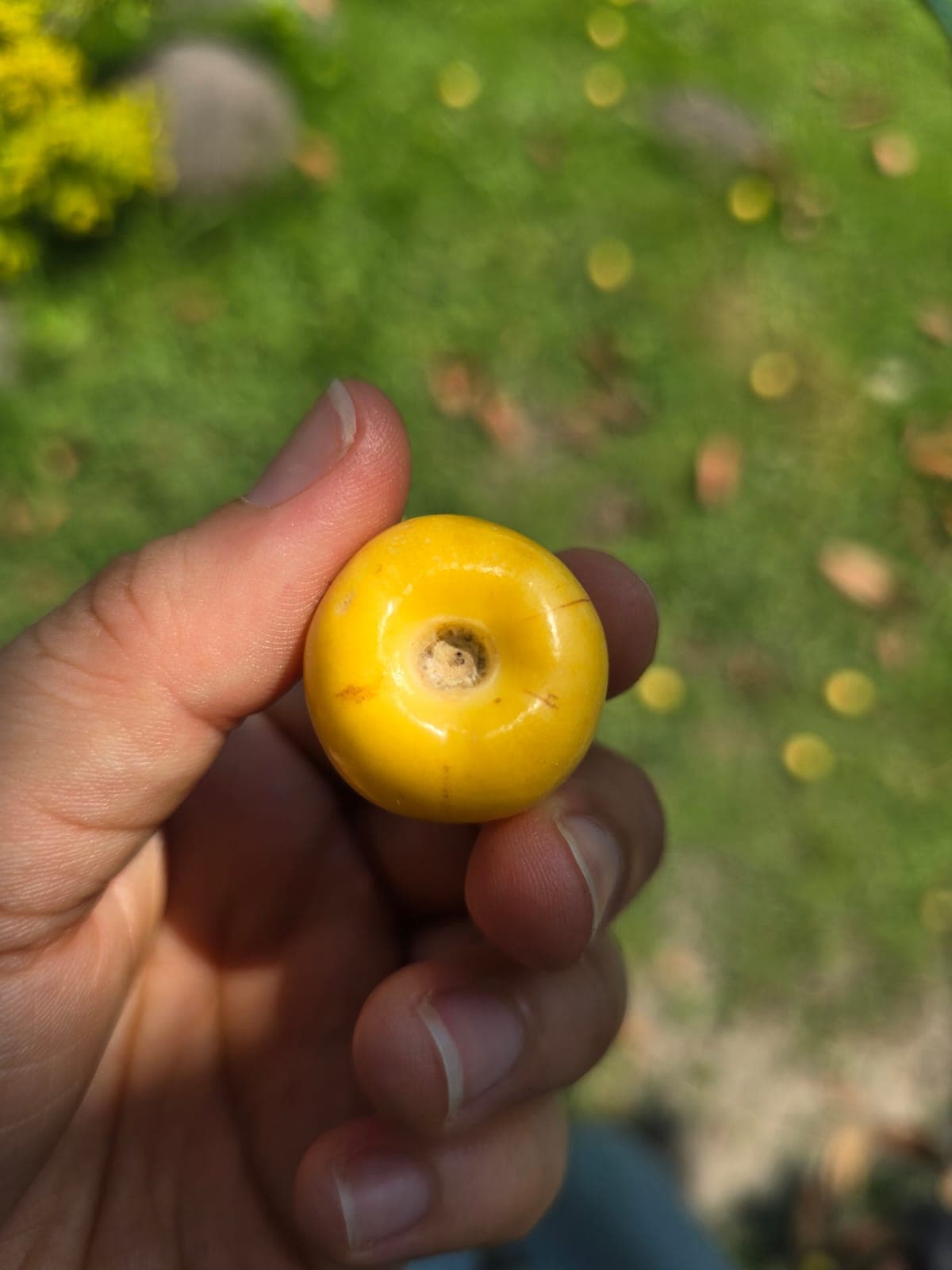 Fruta amarilla. Nanche