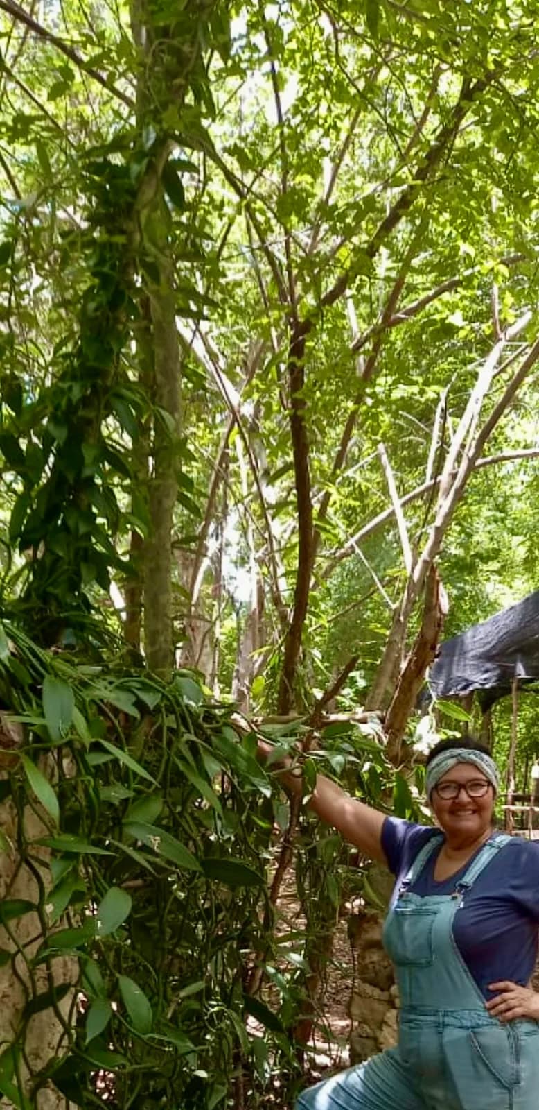 Adriana in her vanilla plantation